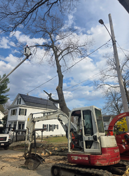 Tree removal crew using a cherry picker beside a house on a cloudy day
