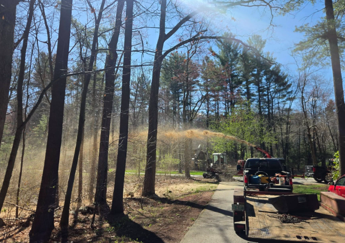 Sunny wooded trail with parked utility carts and equipment on a dirt path