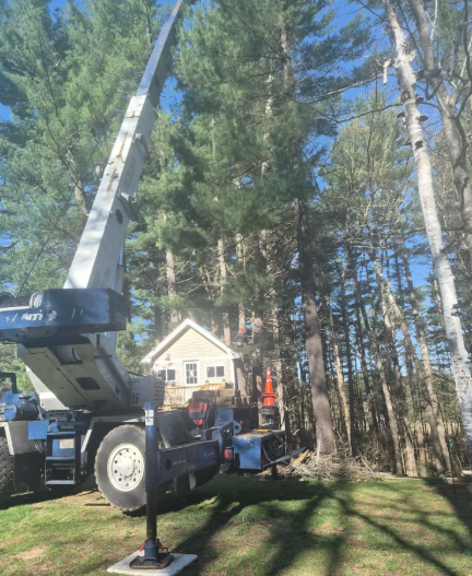A blue crane truck lifting a worker beside a house in a wooded yard.