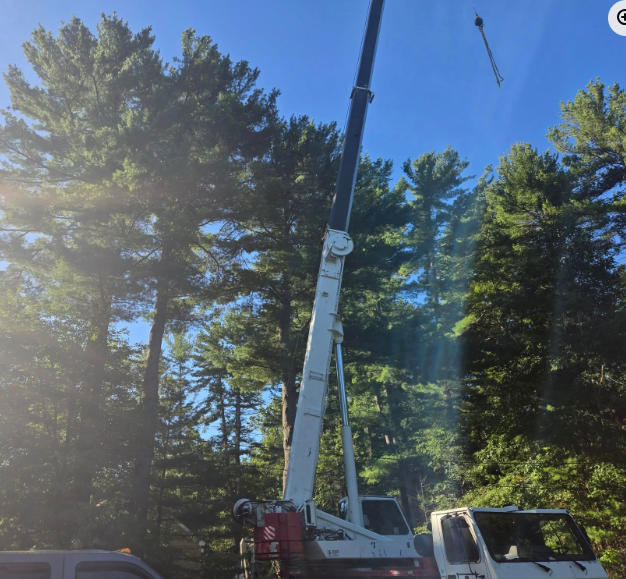 Crane truck lifting a long pole beside tall pine trees under a clear blue sky.