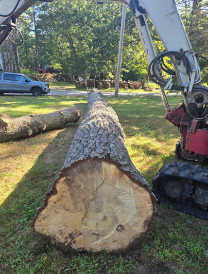 Cut tree trunk on lawn beside a compact excavator and a parked car in a sunny yard.