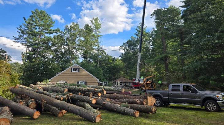Large logs piled beside a pickup truck in a wooded yard near a small house under a blue sky