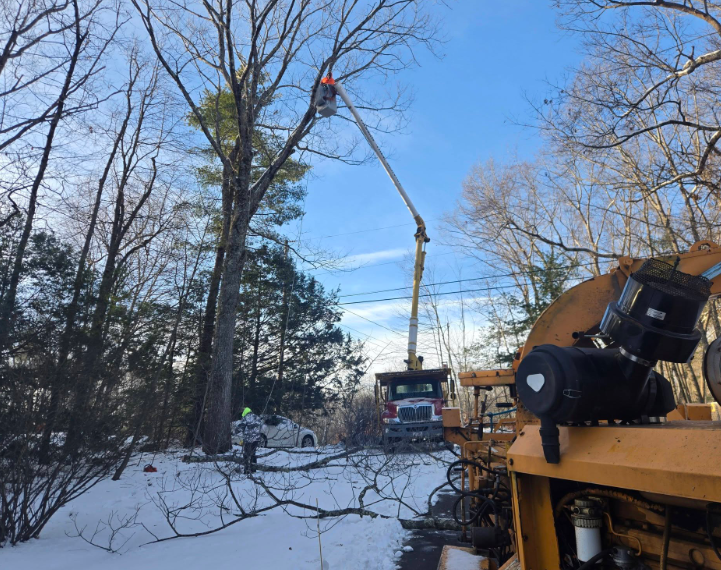 Snowy wooded worksite with a blue truck, bare trees, and an excavator arm against a clear sky