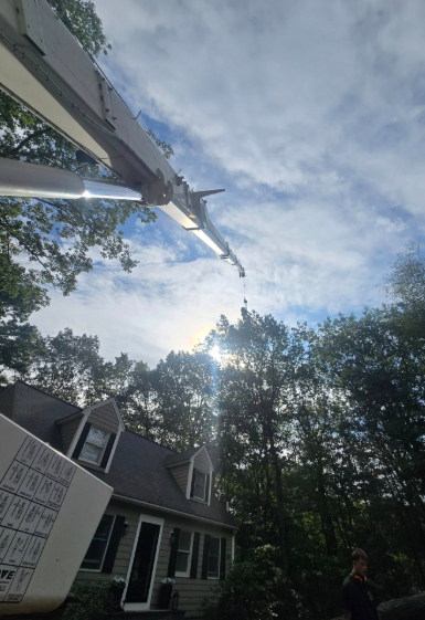 Airplane overhead above treetops and a house, with the sun shining through the cloudy sky