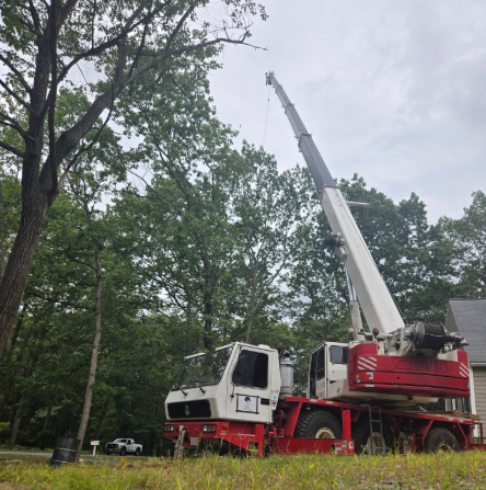 Crane truck with extended boom among trees in a wooded area