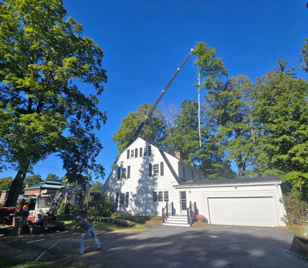 White house with garage under tree work, crane lifting a limb on a sunny day.