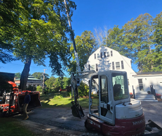 Small excavator and truck by a white house in a sunny yard with tall trees