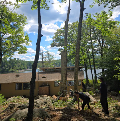 Workers clearing debris around a house in a wooded area with tall trees and bright sunlight.