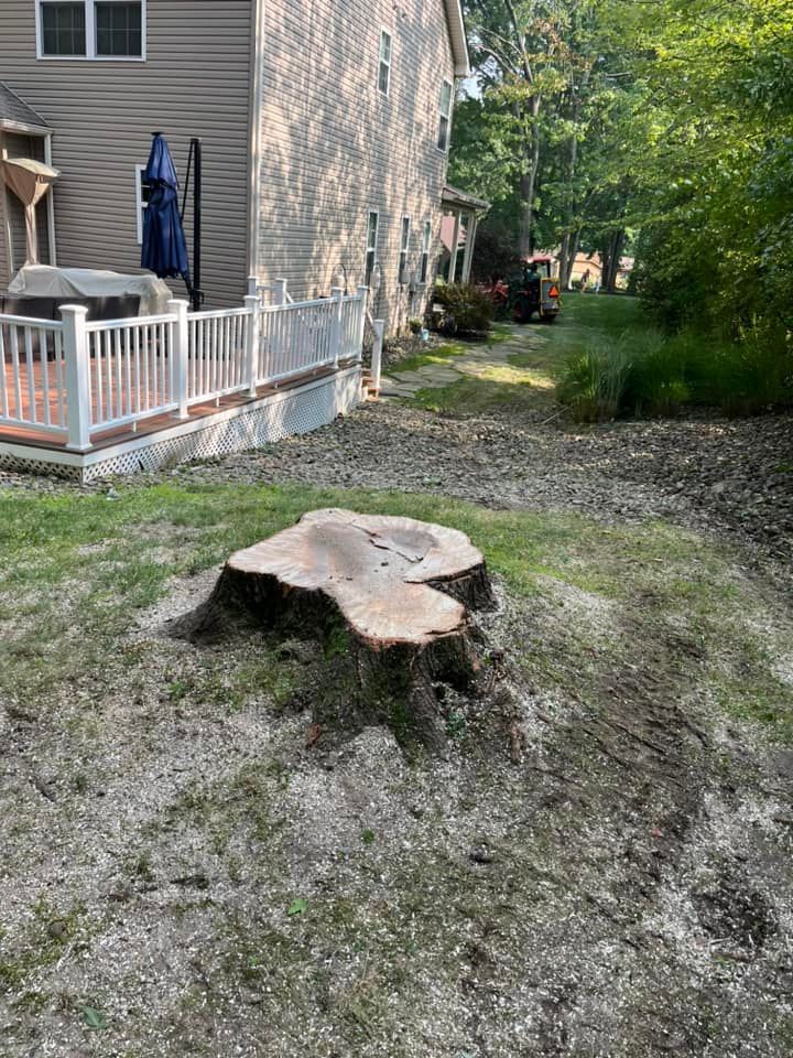 A large tree stump is sitting in the grass in front of a house.