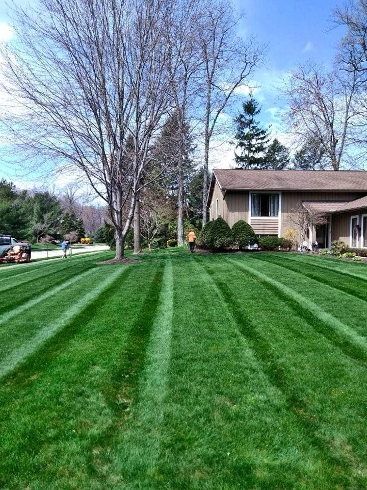 A lush green lawn with striped grass in front of a house.