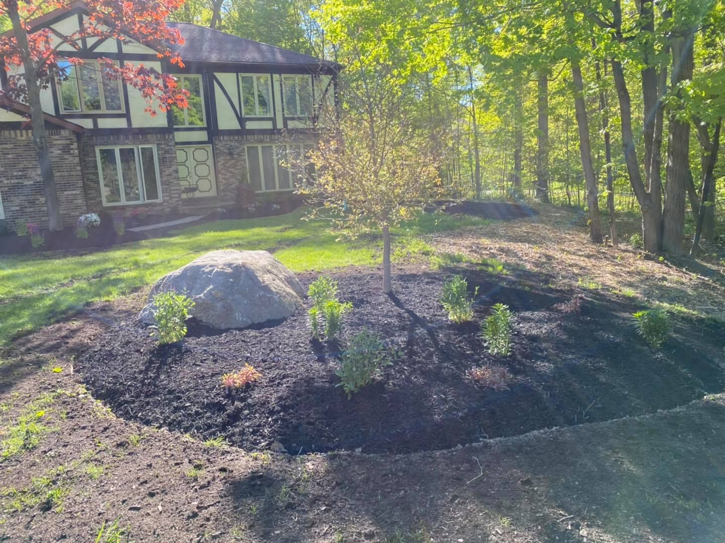 There is a tree in the middle of a garden in front of a house.