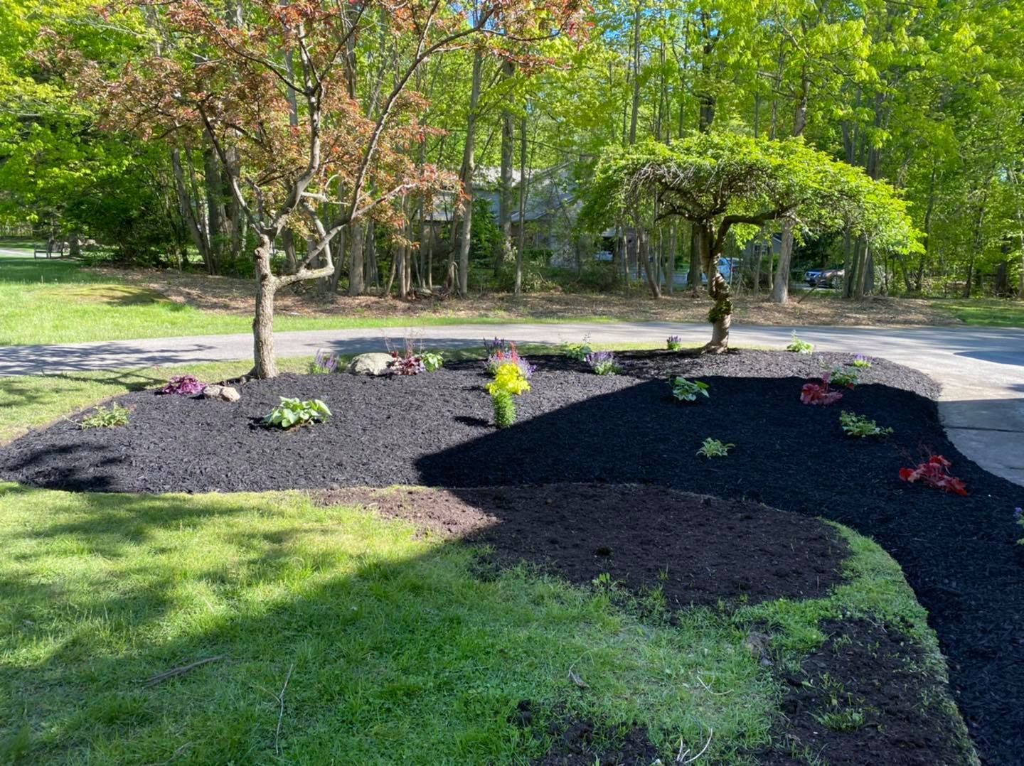 A lush green yard with a driveway and trees in the background.