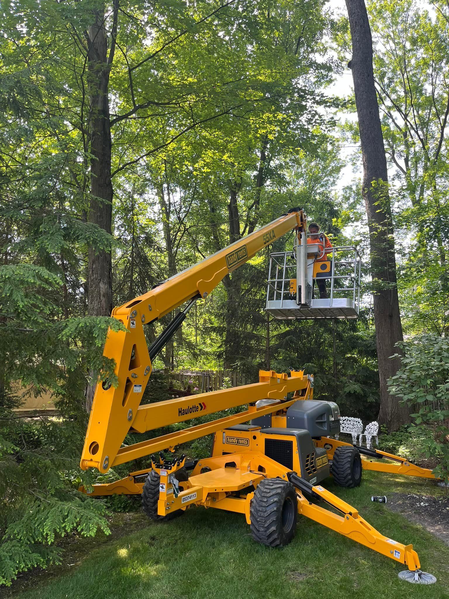 A yellow crane is sitting in the grass next to a tree.