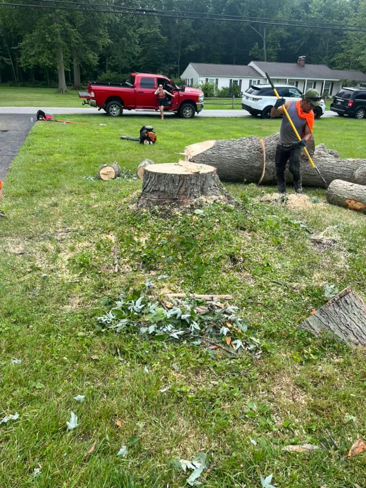 A man is cutting a tree stump with a chainsaw in a yard.
