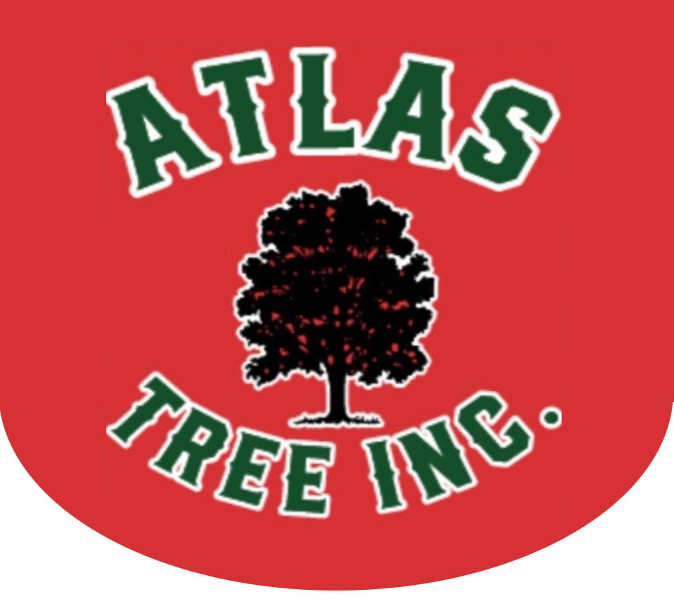 Atlas Tree & Landscaping Inc - Logo