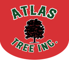 Atlas Tree & Landscaping Inc - Logo