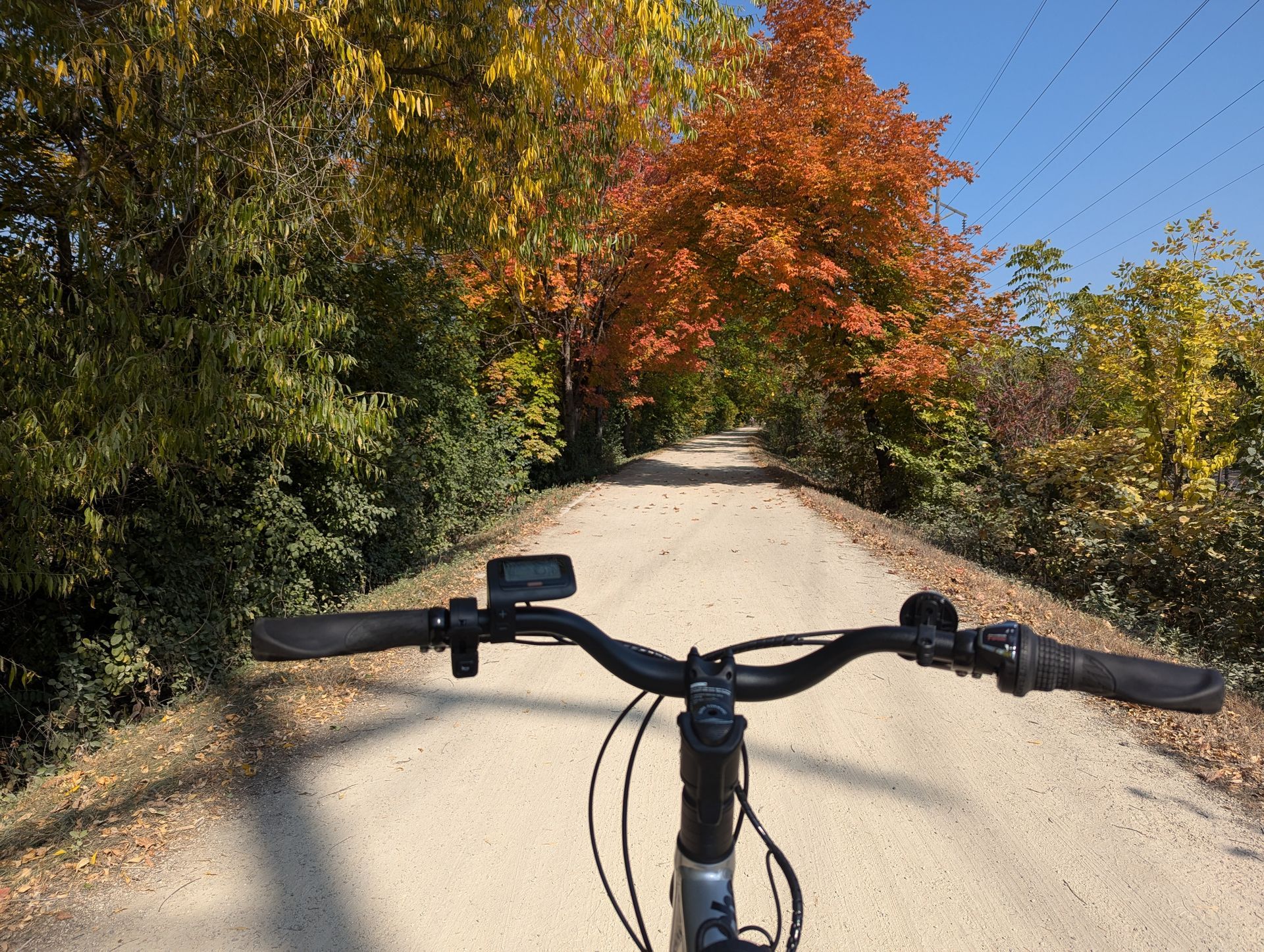 A person is riding a bike down a dirt road.