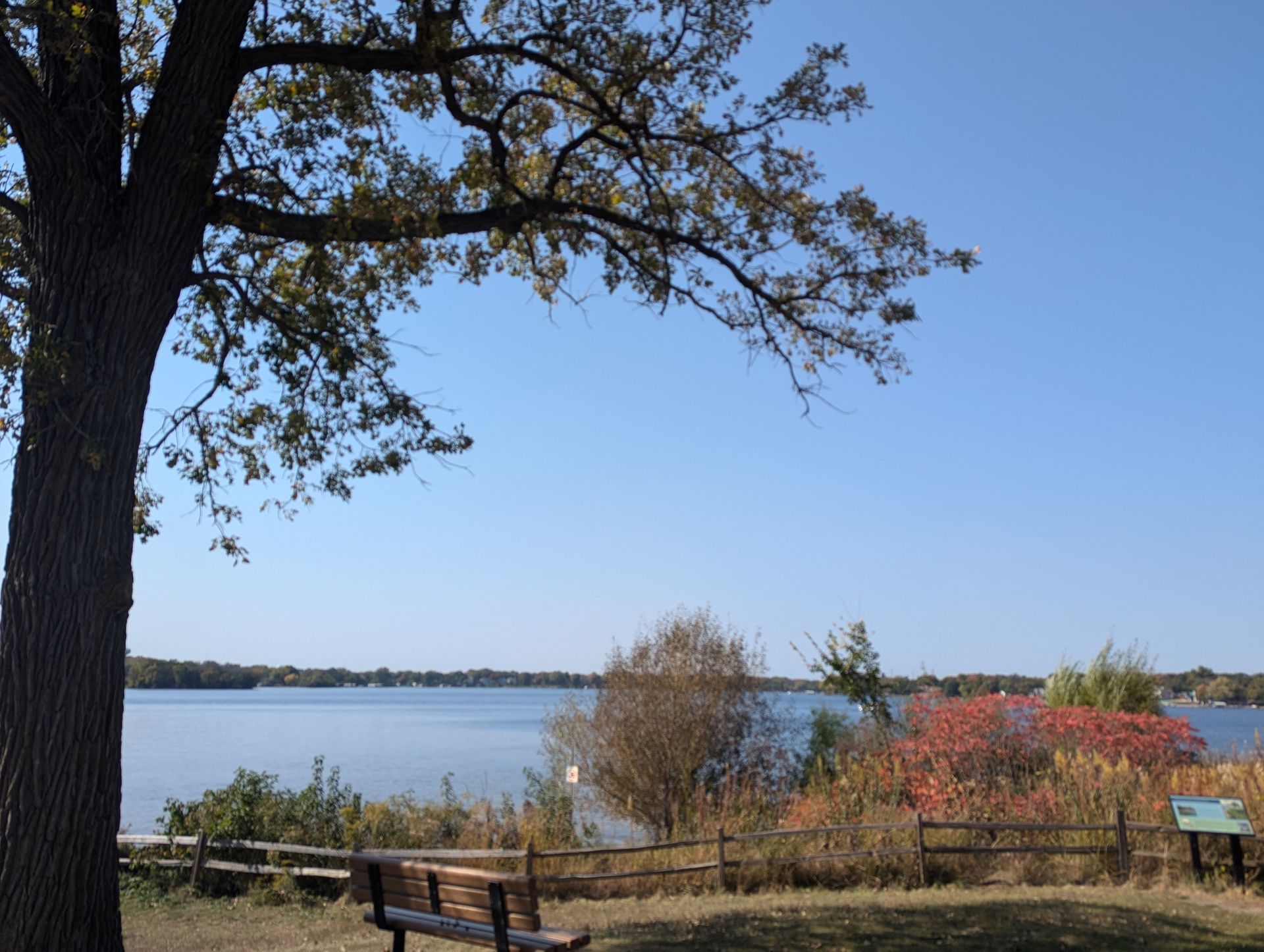 A lake with a picnic table and a tree in the foreground