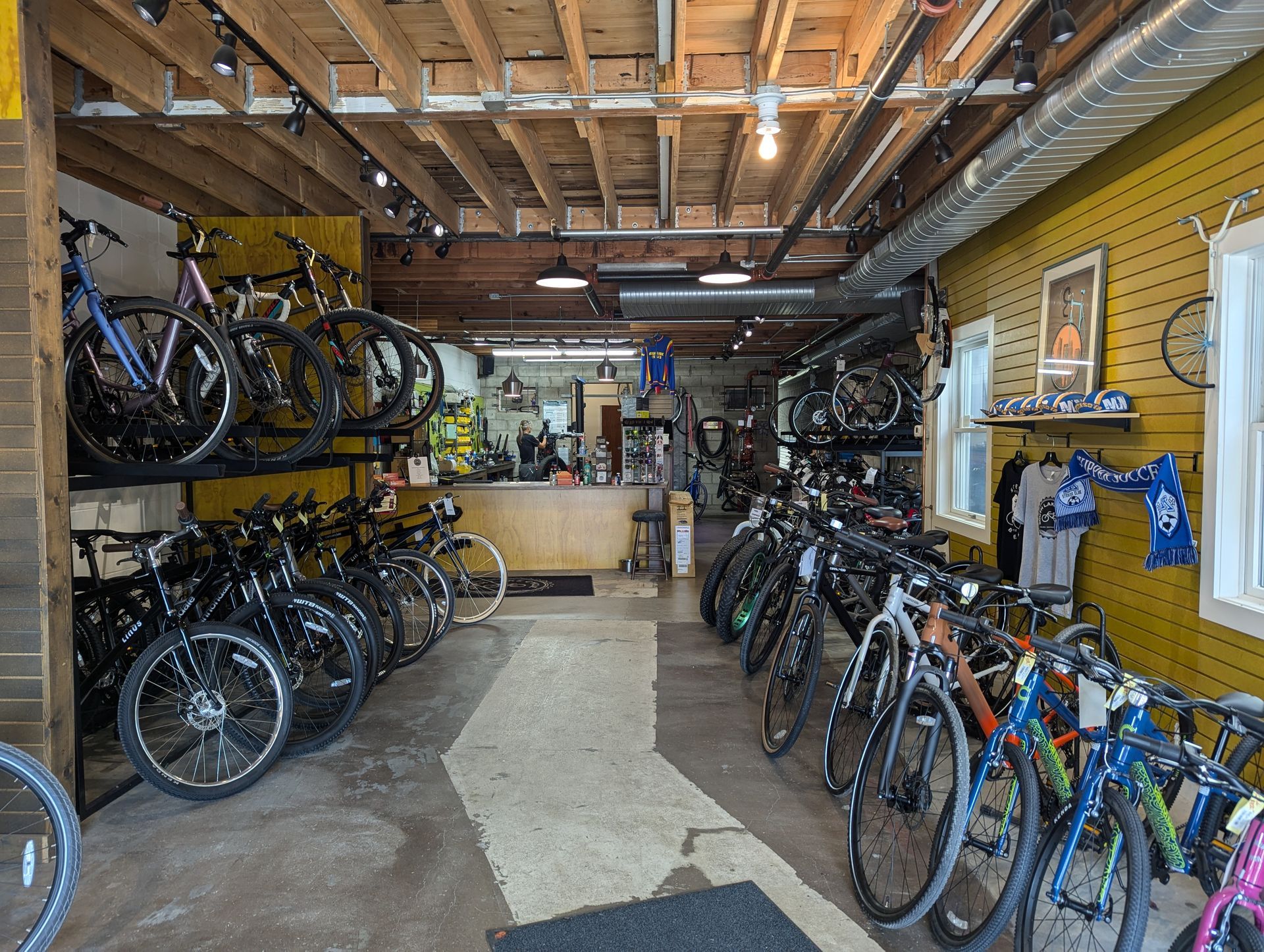A row of bicycles are lined up in a bicycle shop.