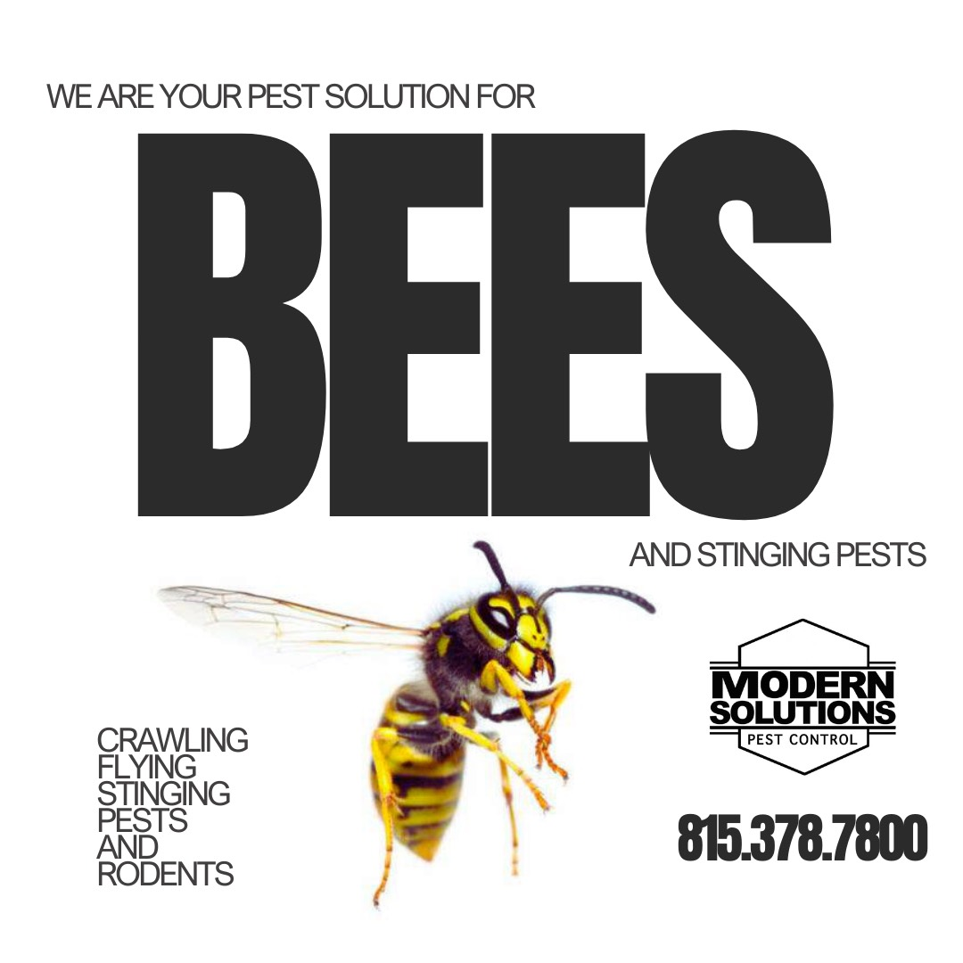 Pest Control | Rockford, IL | Modern Solutions Pest Control