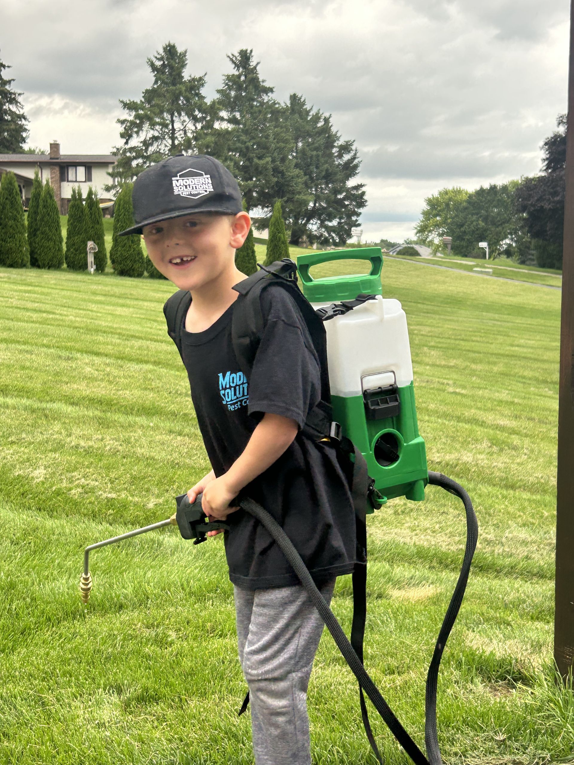 Pest Control | Rocktford, IL | Modern Solutions Pest Control
