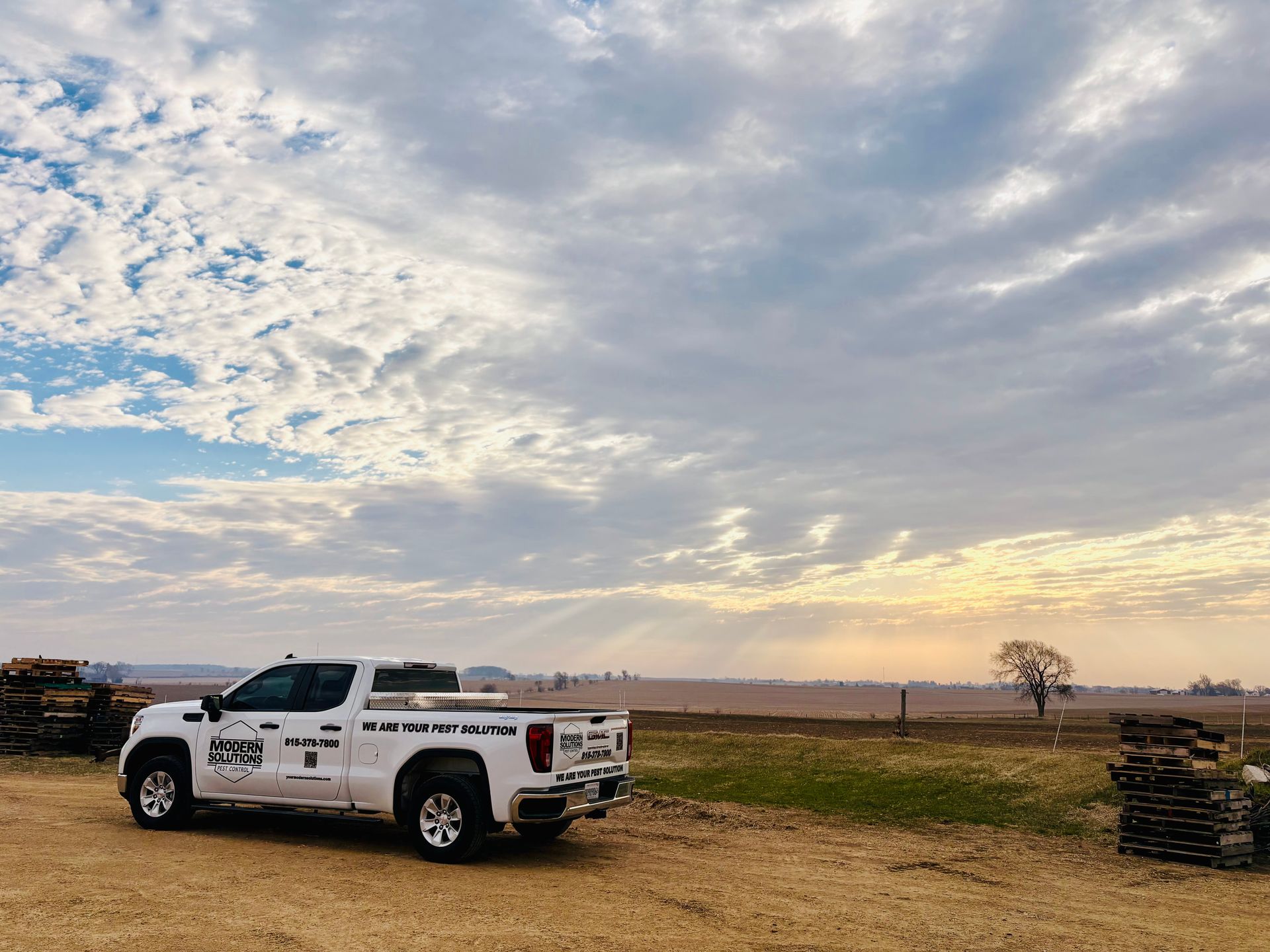 Pest Control | Rockford, IL | Modern Solutions Pest Control