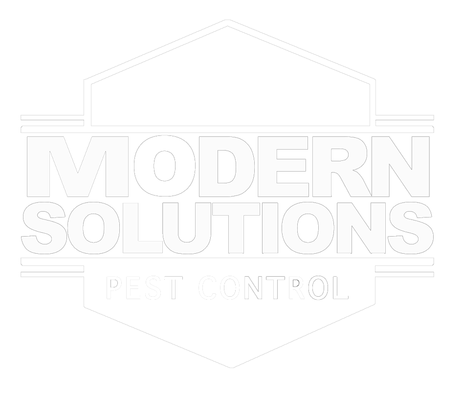 Modern Solutions - Logo