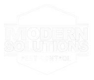 Modern Solutions - Logo