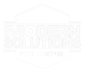 Modern Solutions - Logo