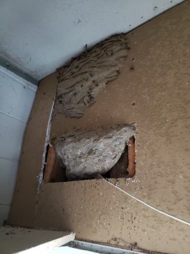 Damaged wall with broken plaster exposing a rough hole and exposed material in the corner.
