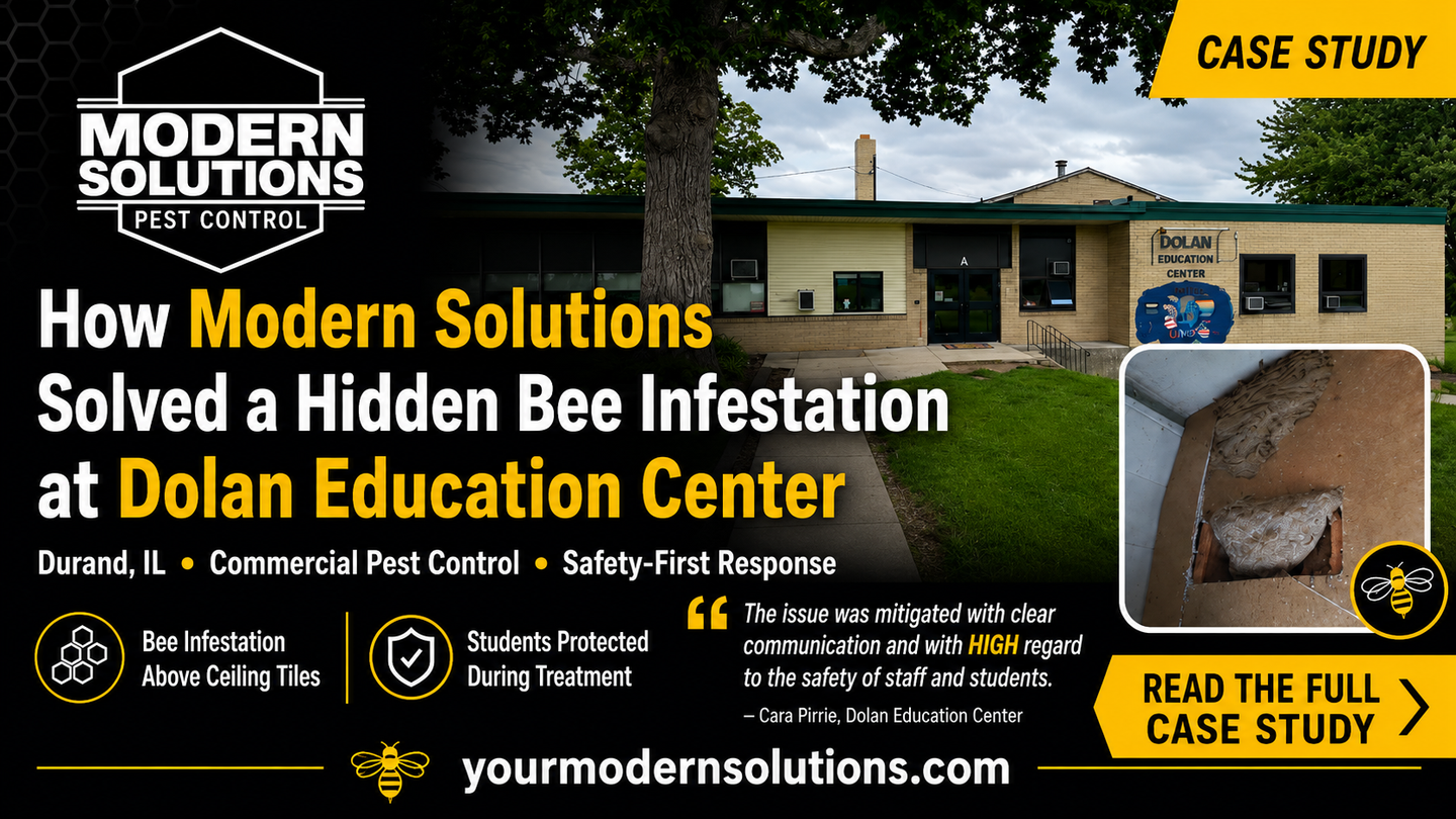 Modern Solutions case study ad: hidden bee infestation solved at Dolan Education Center.