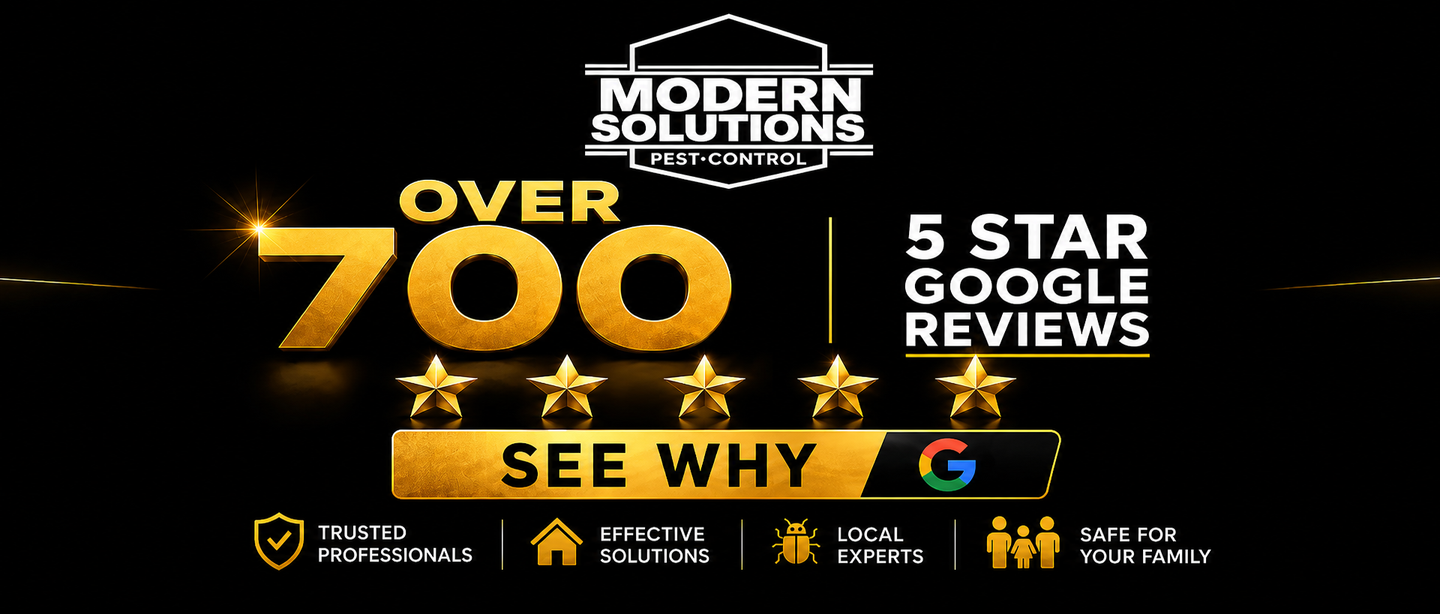 Modern Solutions Pest Control ad: over 700 5-star Google reviews, see why, with service icons