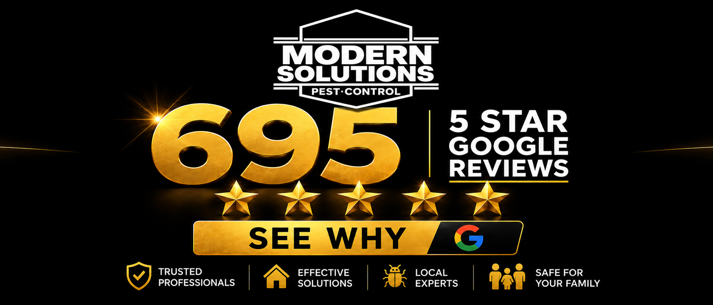 Modern Solutions ad showing 695 five-star Google reviews on a black-and-gold background