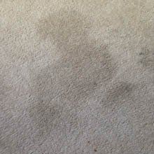 Carpet stain - before pic
