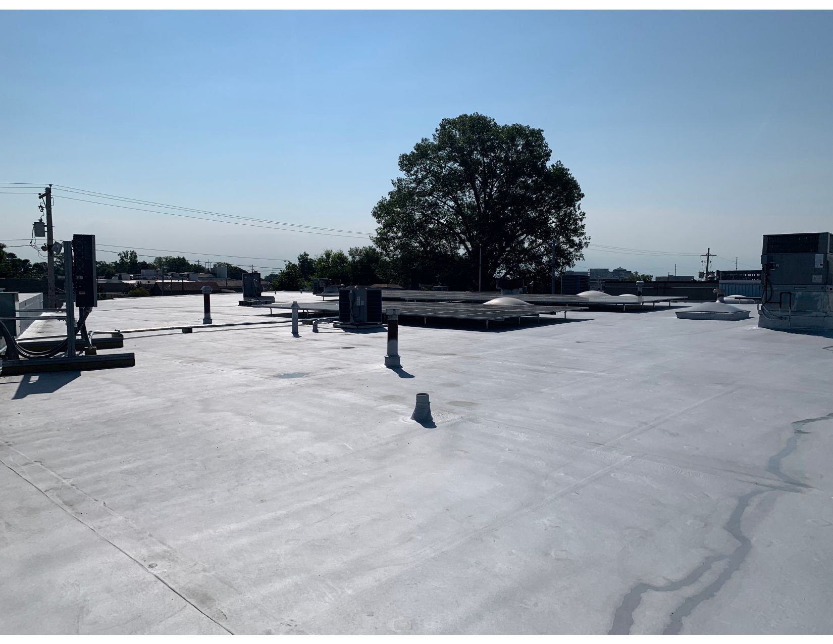 A large white roof with a tree in the background