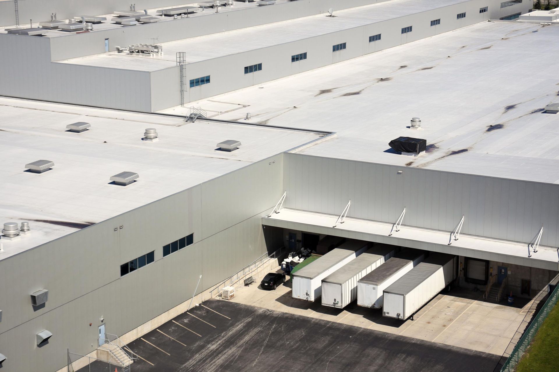 woman owned business wbe