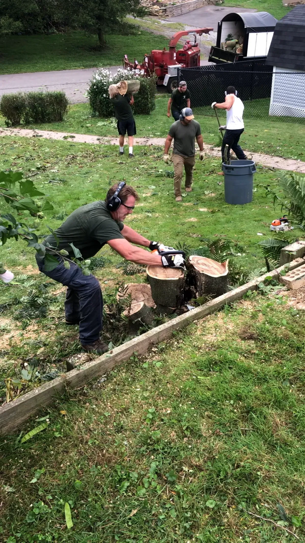 Person using a chainsaw to cut a fallen tree in a grassy yard, with others watching nearby.