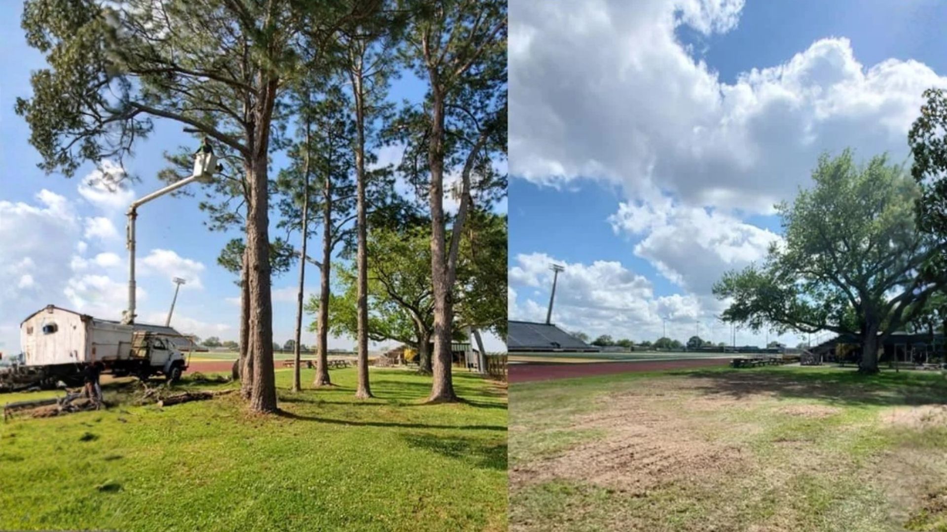 Split view of a grassy field with tall trees, a parked white tanker, and a cloudy blue sky.