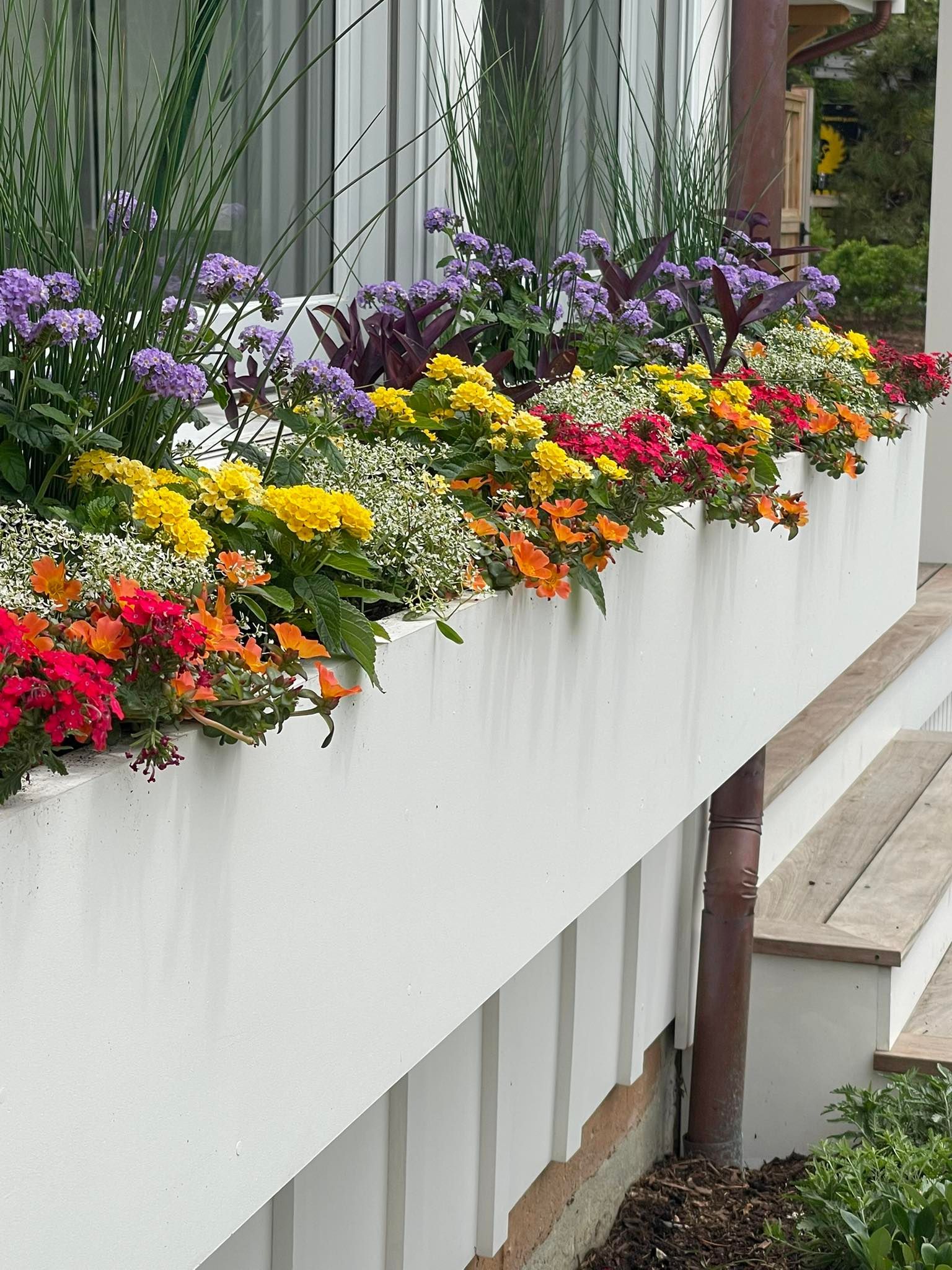 White window box overflowing with colorful flowers: red, orange, yellow, and purple.