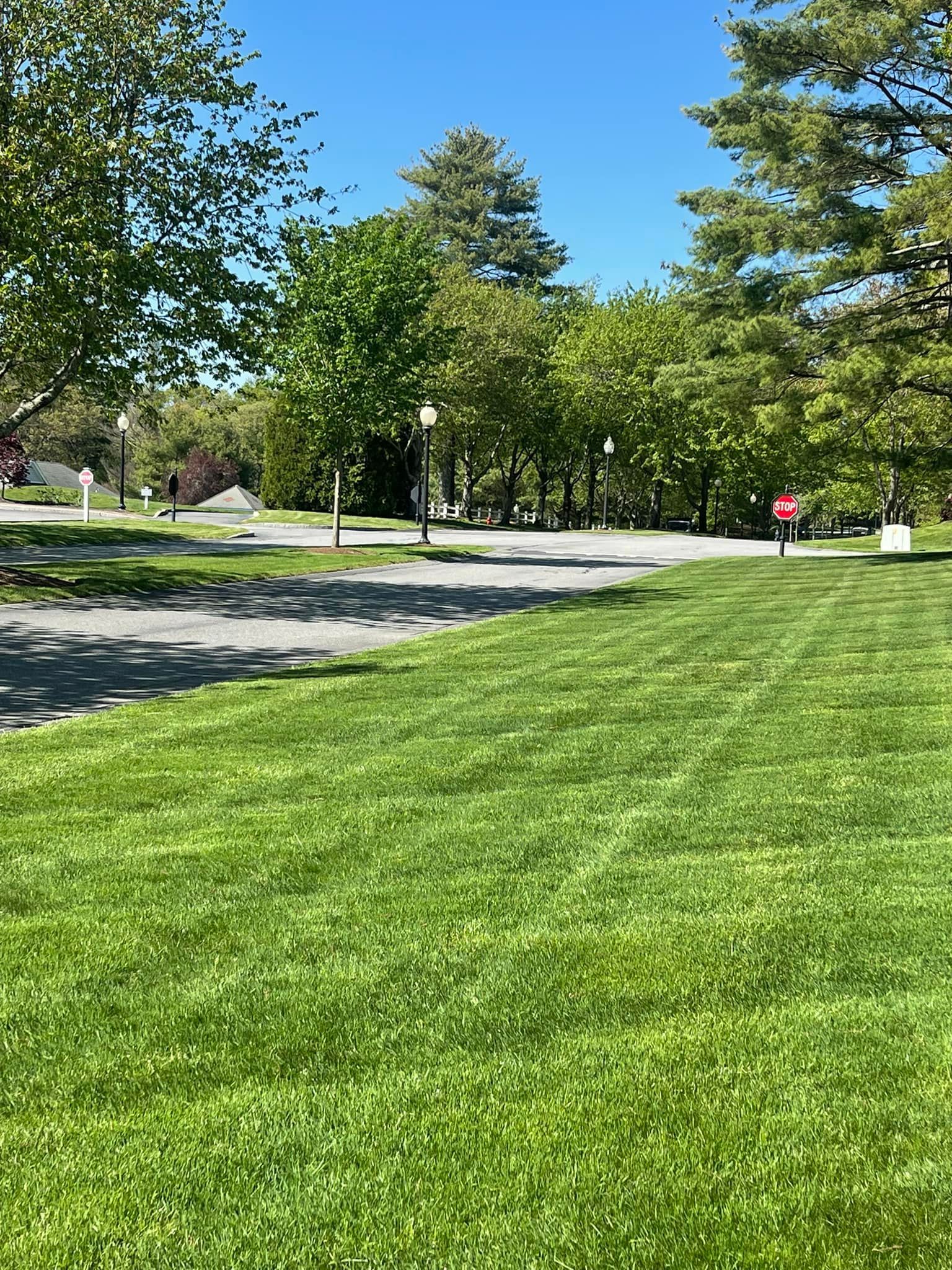 Bright green lawn with trees and a paved path, a person walking in the distance under a blue sky.