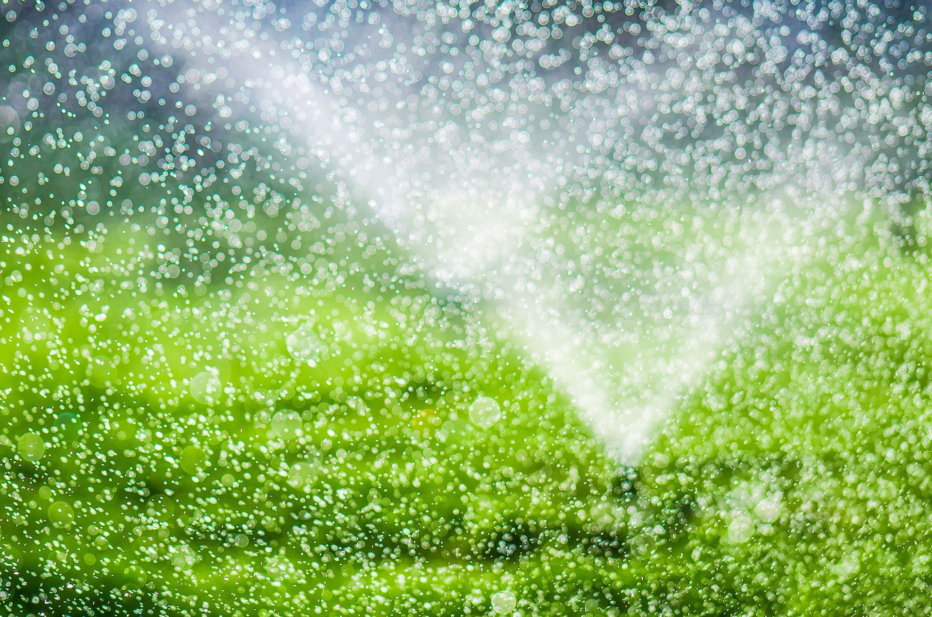 Sprinkler spraying water onto a vibrant green lawn.