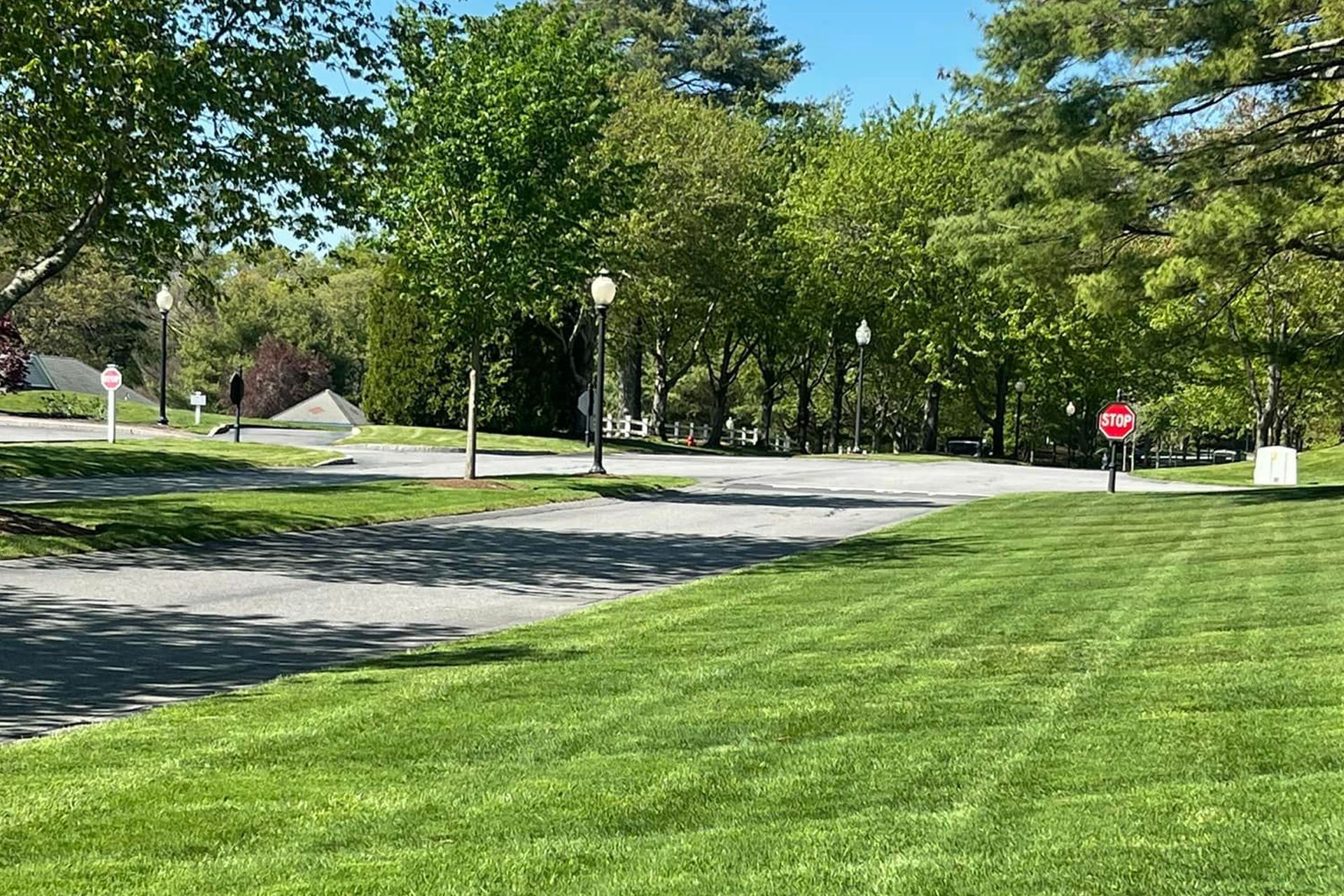 Houses with well-manicured lawn and colorful bushes in front.