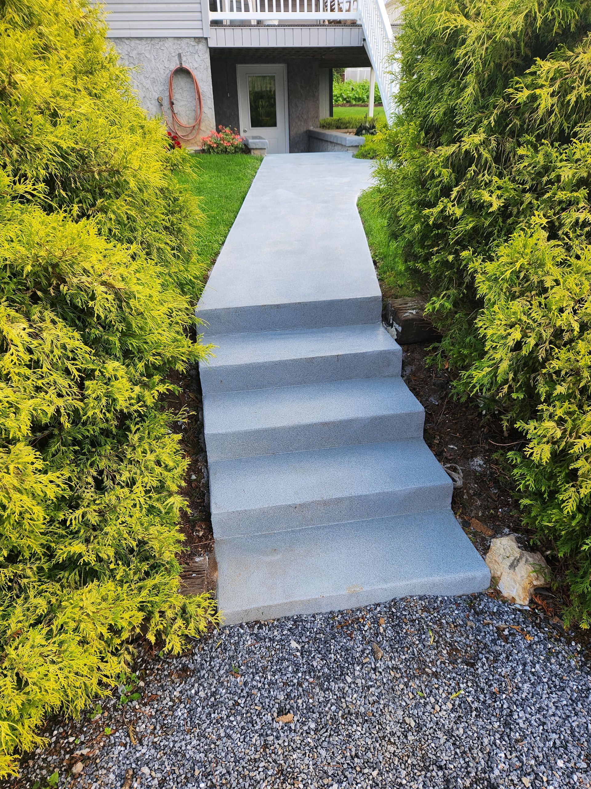 A concrete walkway with stairs leading up to a house surrounded by bushes.