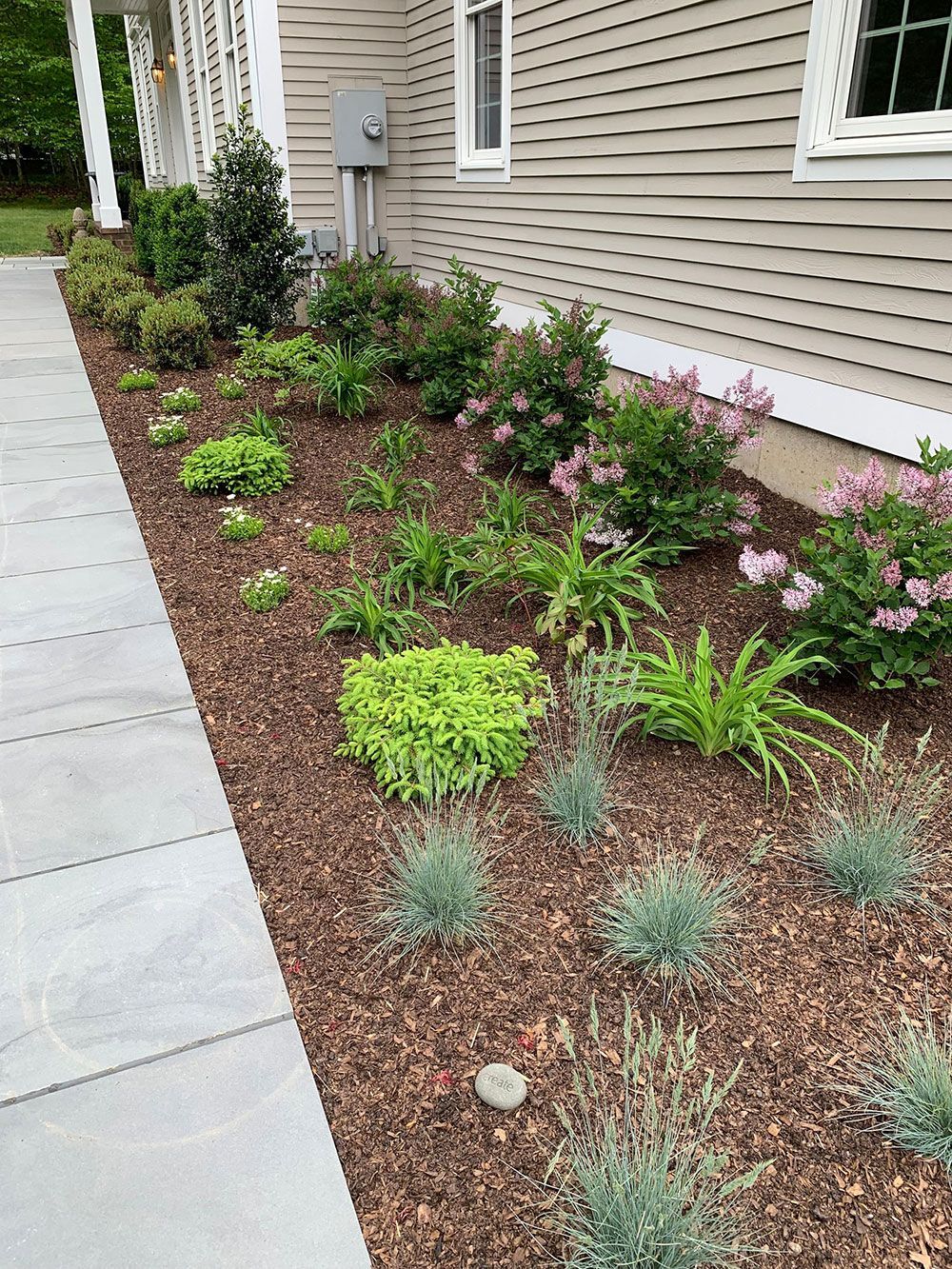 A sidewalk leading to a house with lots of plants and flowers