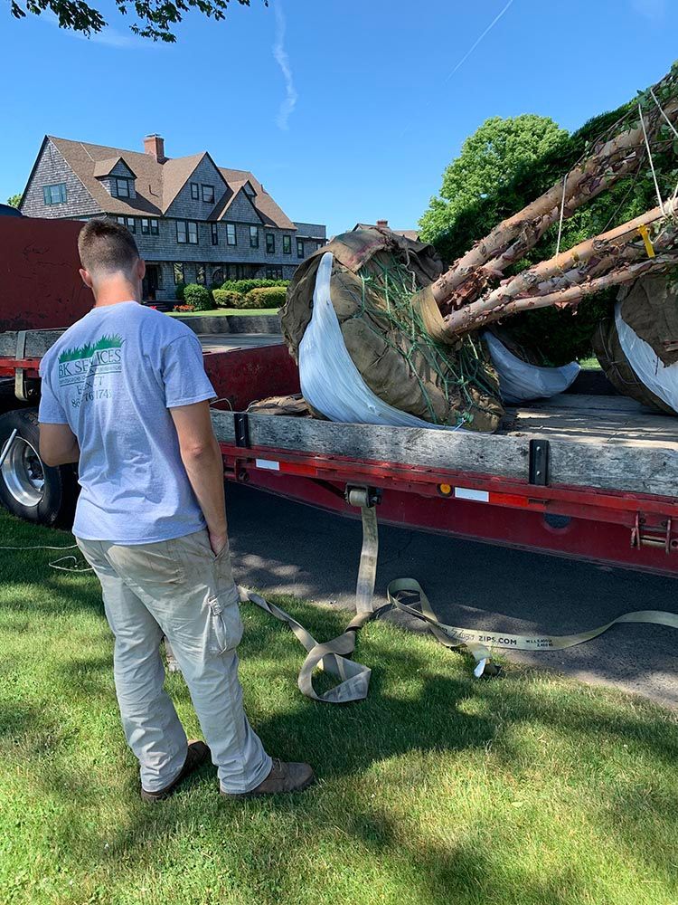 a man is standing in front of a truck loaded with trees .