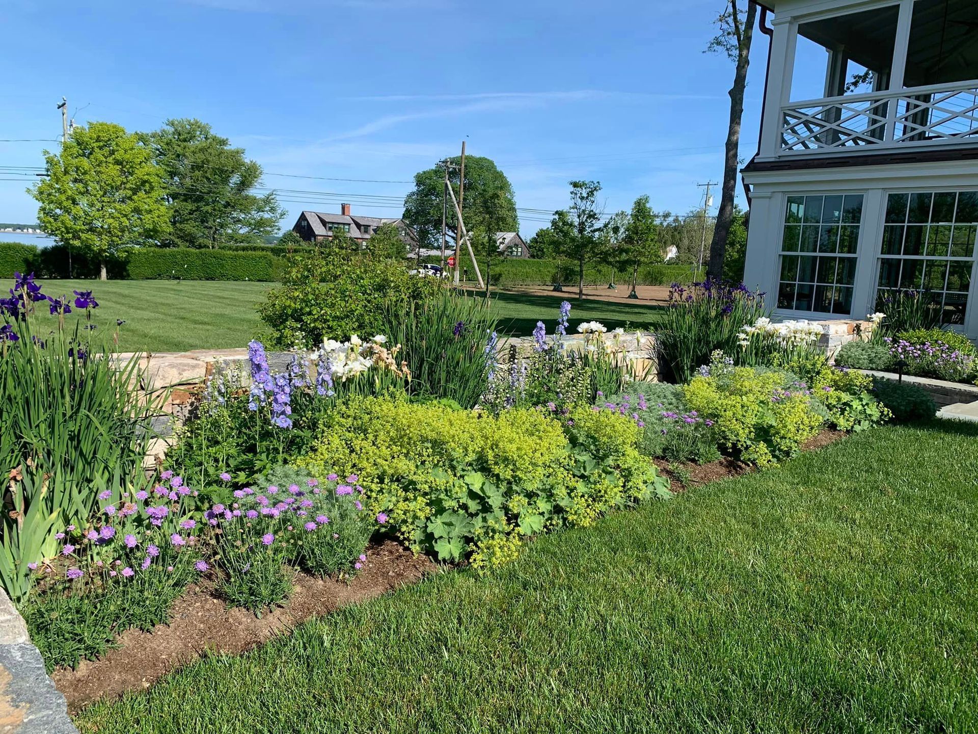 a garden with purple flowers and green plants in front of a house