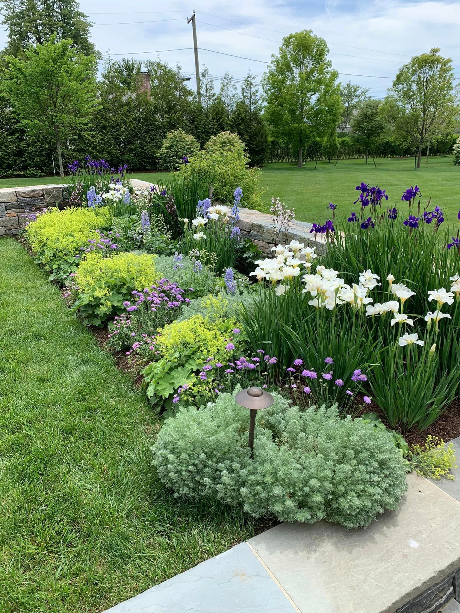 there are many different types of flowers in this garden