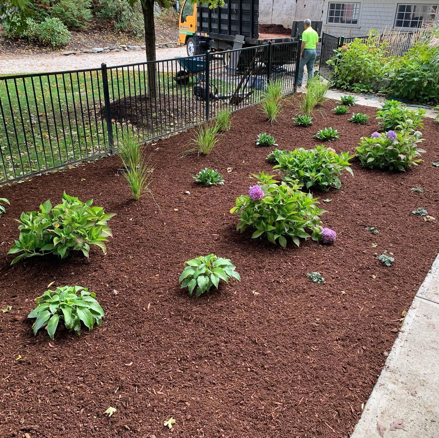 a garden filled with lots of plants and mulch