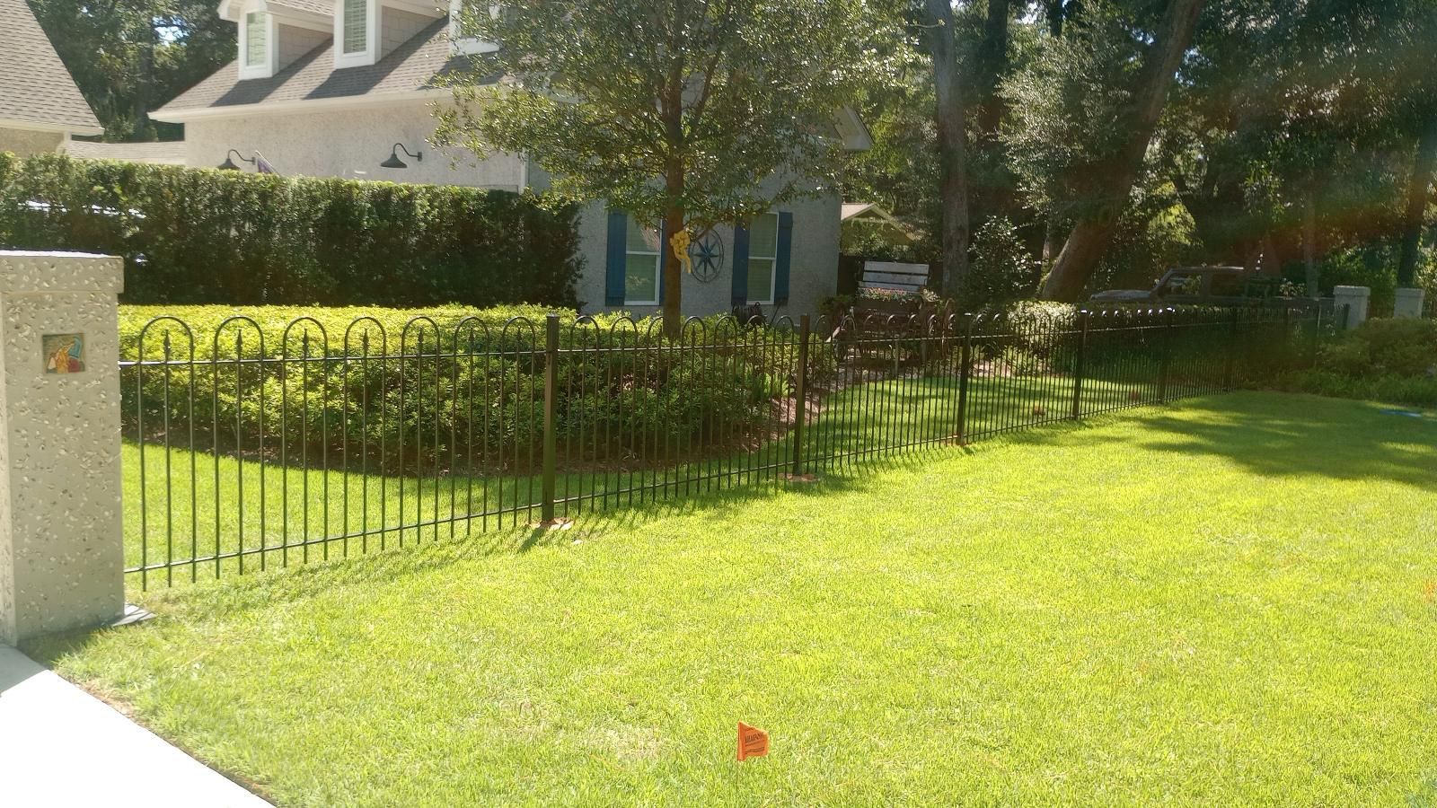 Sunny suburban lawn with black aluminum fence, hedges, and houses in the background.