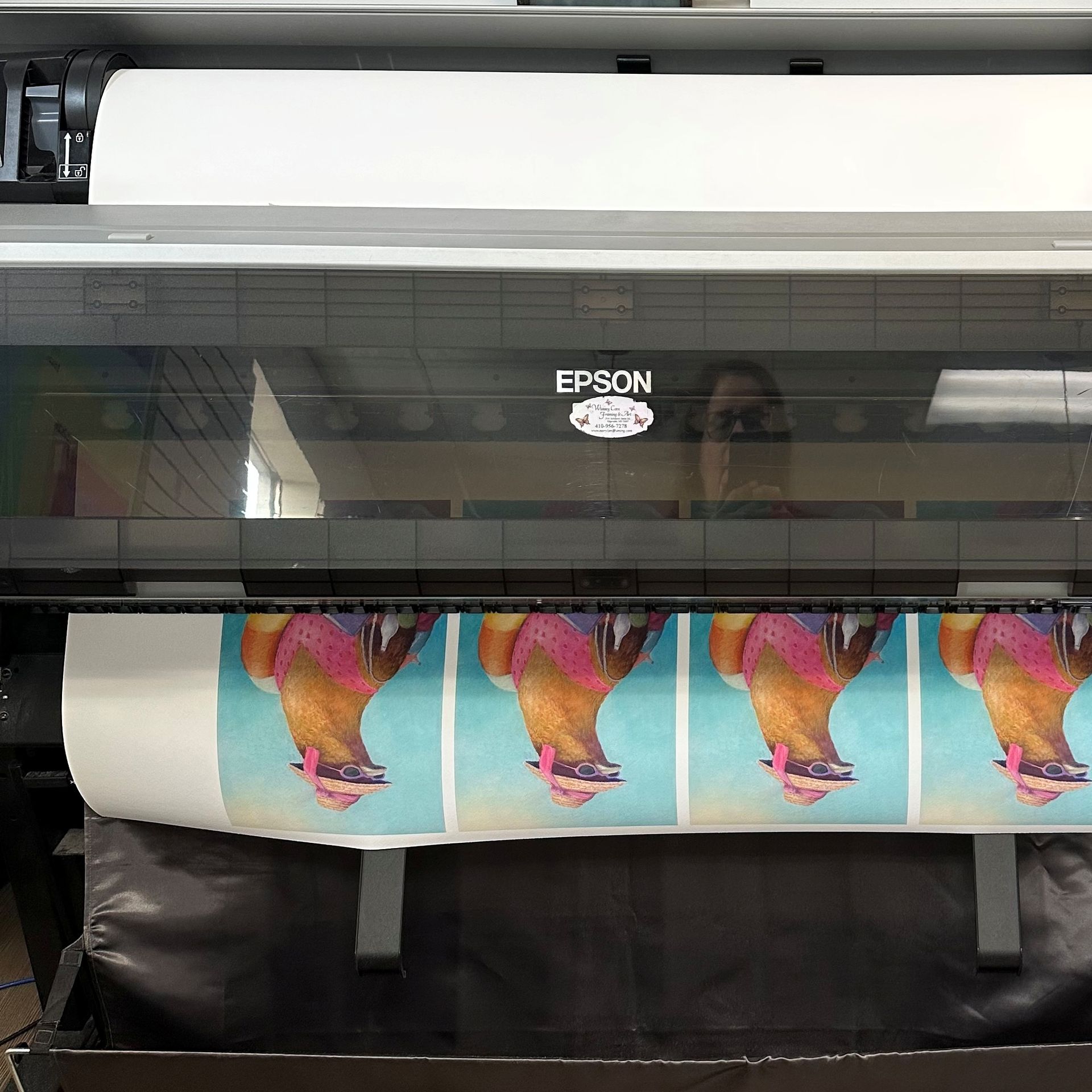 Epson printer producing a colorful poster with repeated bird illustrations on a roll